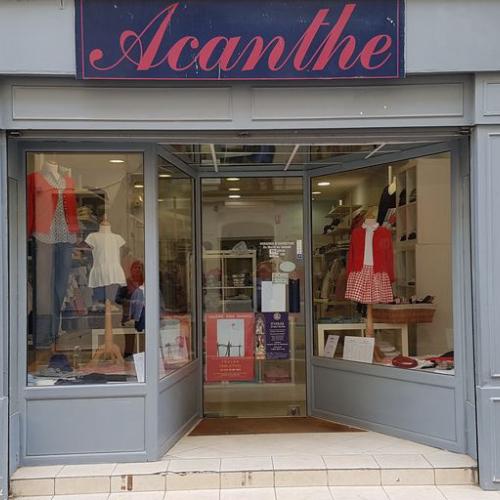 Acanthe