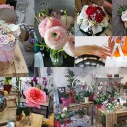 Aux Fleurs des Routes