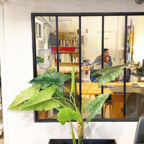 L'Agence Storm Immobilier