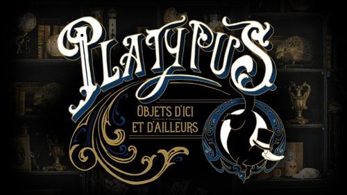 Platyplus